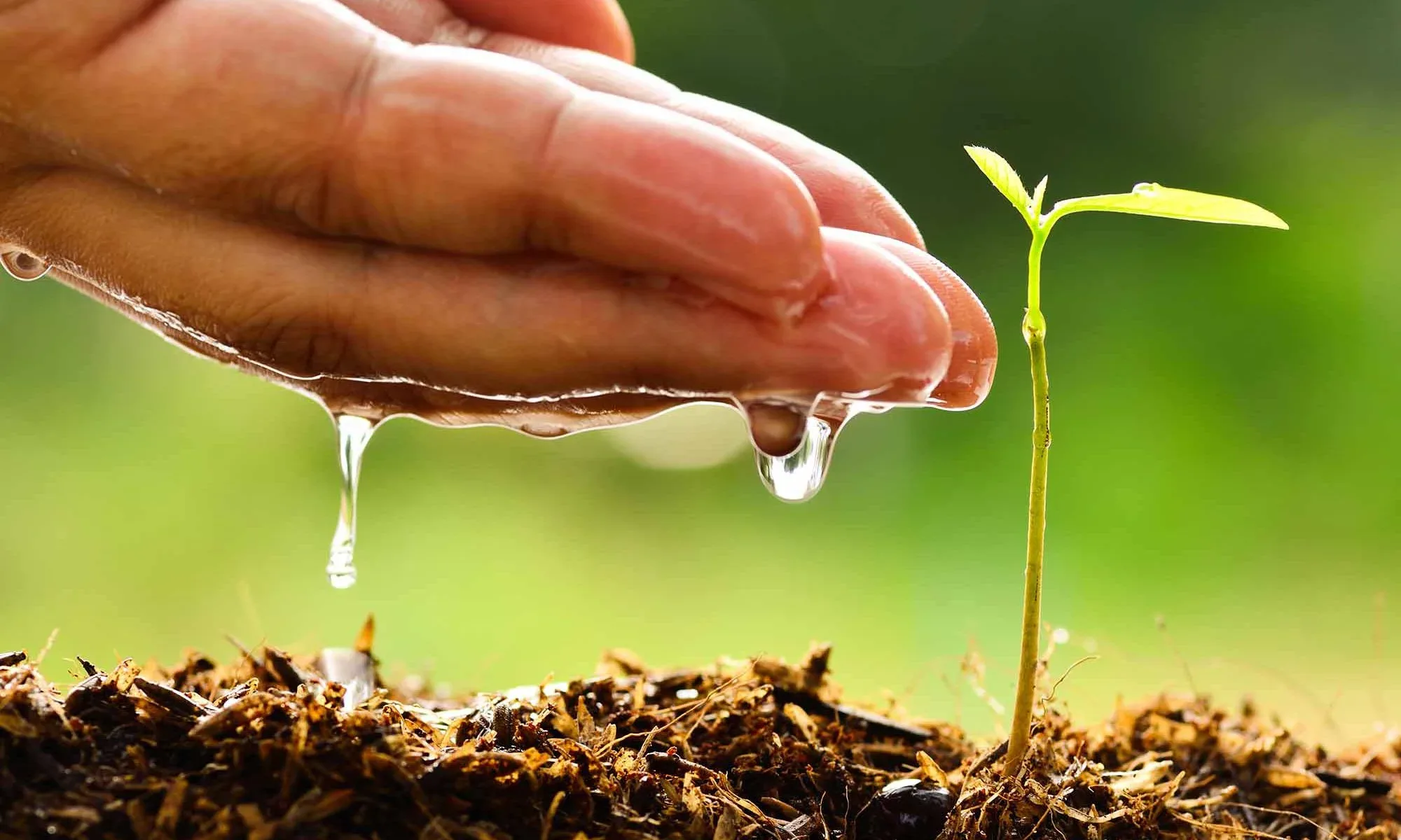 Responsabilidad Ambiental